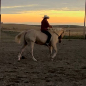 Meet your Posher, Everleigh